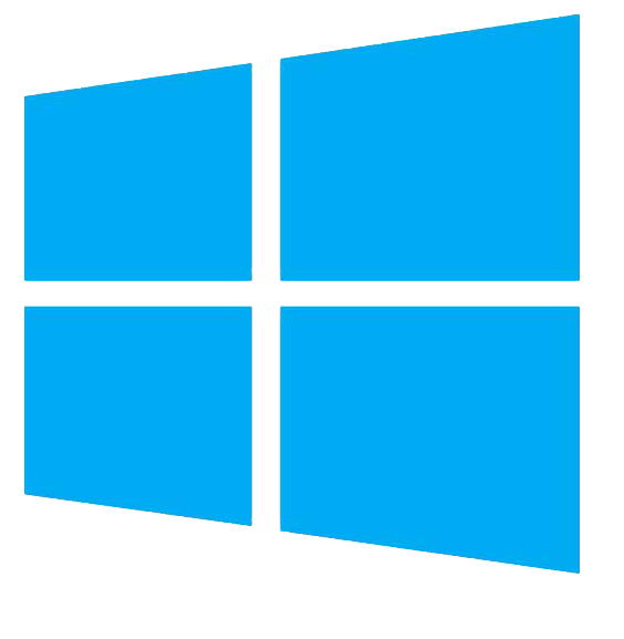 Windows Server Logo